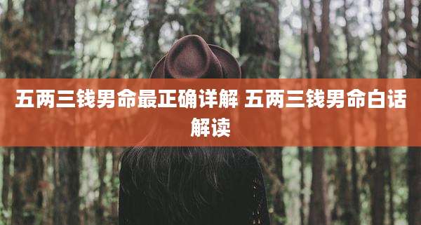 五两三钱男命最正确详解 五两三钱男命白话解读