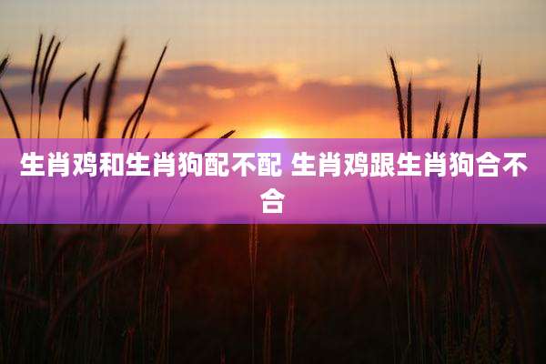 生肖鸡和生肖狗配不配 生肖鸡跟生肖狗合不合