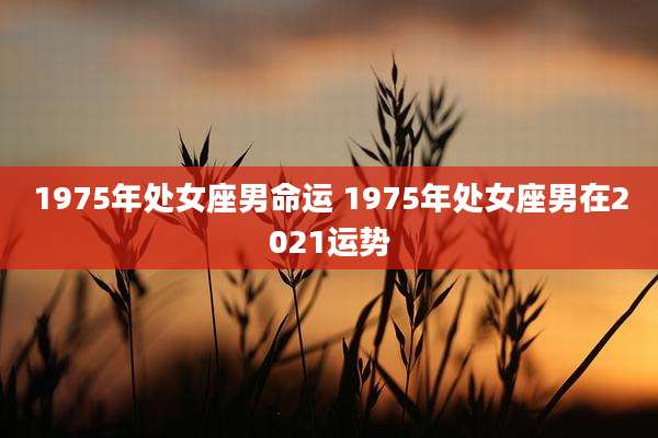 1975年处女座男命运 1975年处女座男在2021运势