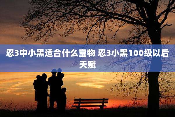 忍3中小黑适合什么宝物 忍3小黑100级以后天赋