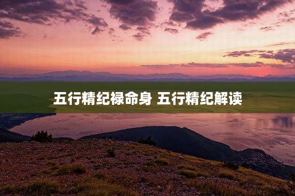五行精纪禄命身 五行精纪解读