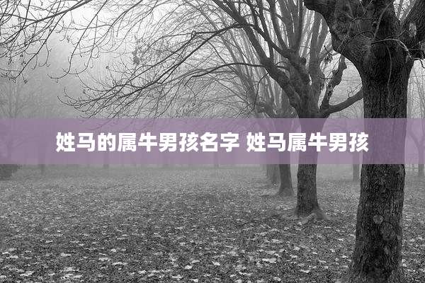 姓马的属牛男孩名字 姓马属牛男孩