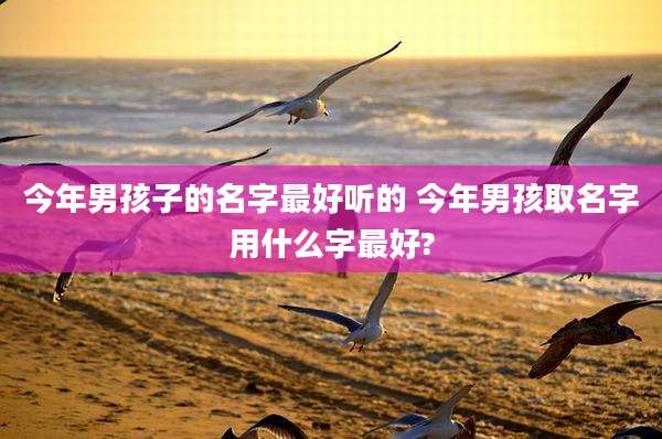 今年男孩子的名字最好听的 今年男孩取名字用什么字最好?