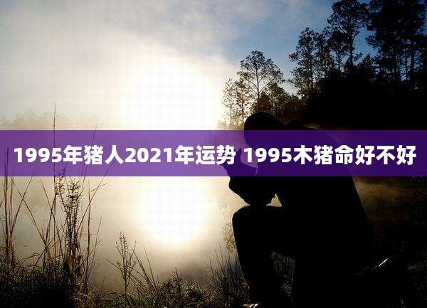 1995年猪人2021年运势 1995木猪命好不好