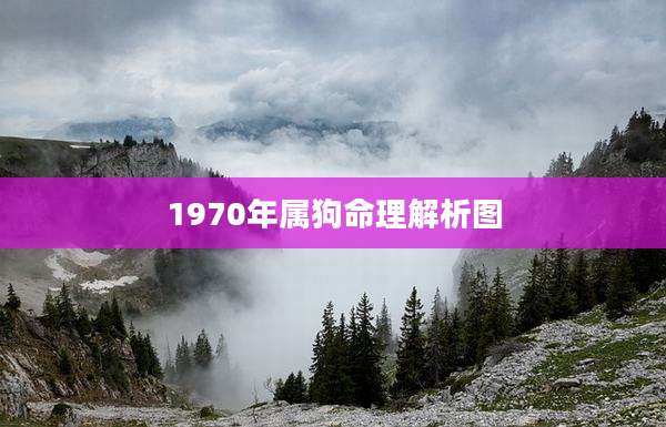 1970年属狗命理解析图