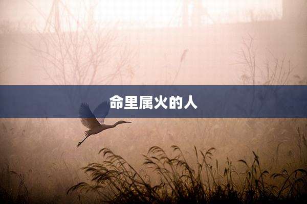 命里属火的人