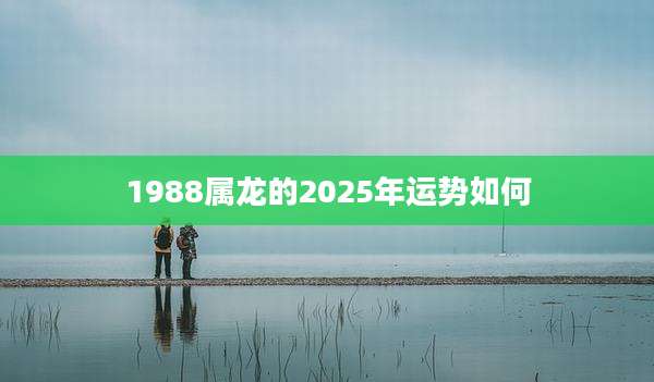 1988属龙的2025年运势如何