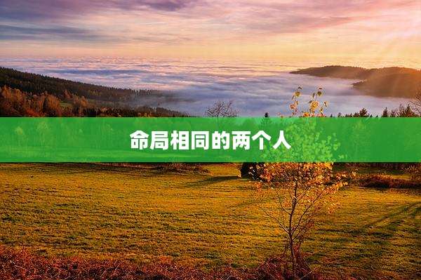 命局相同的两个人