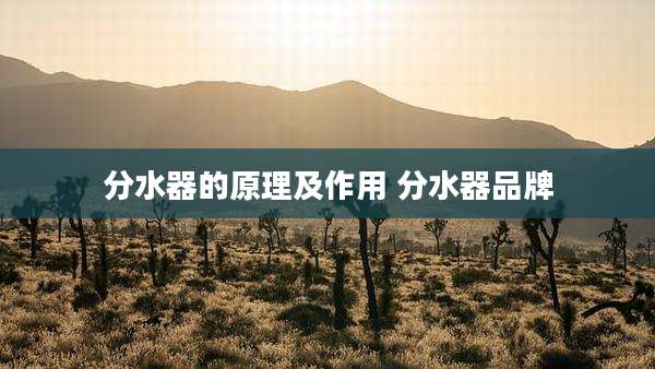 分水器的原理及作用 分水器品牌