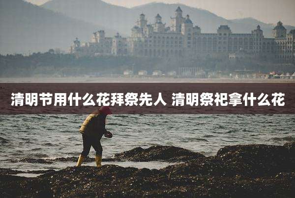 清明节用什么花拜祭先人 清明祭祀拿什么花