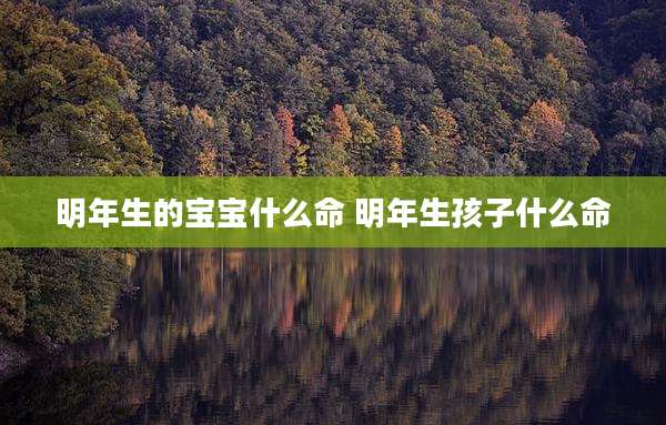 明年生的宝宝什么命 明年生孩子什么命