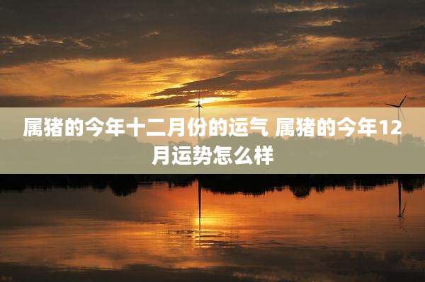 属猪的今年十二月份的运气 属猪的今年12月运势怎么样