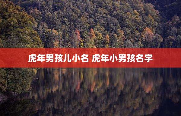 虎年男孩儿小名 虎年小男孩名字