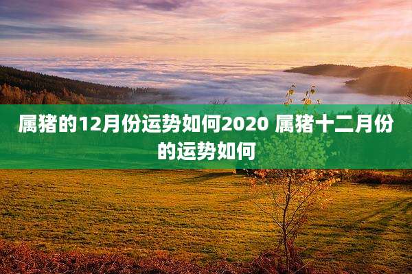 属猪的12月份运势如何2020 属猪十二月份的运势如何