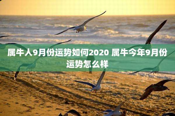 属牛人9月份运势如何2020 属牛今年9月份运势怎么样
