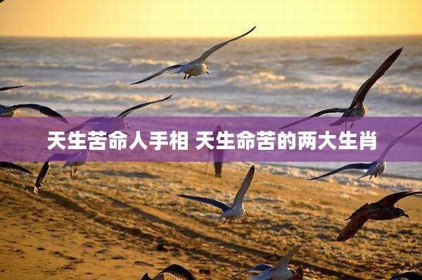 天生苦命人手相 天生命苦的两大生肖