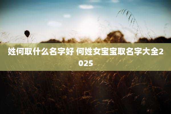姓何取什么名字好 何姓女宝宝取名字大全2025