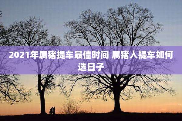 2021年属猪提车最佳时间 属猪人提车如何选日子