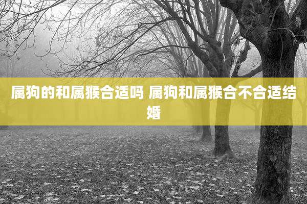 属狗的和属猴合适吗 属狗和属猴合不合适结婚