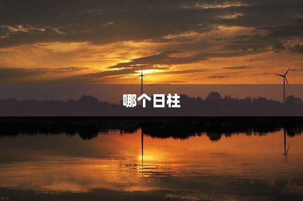 哪个日柱