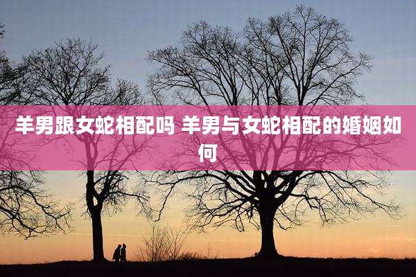 羊男跟女蛇相配吗 羊男与女蛇相配的婚姻如何