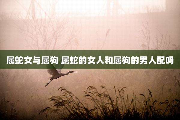 属蛇女与属狗 属蛇的女人和属狗的男人配吗