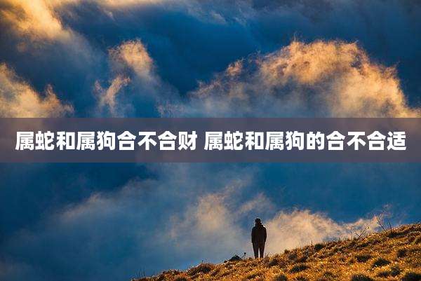 属蛇和属狗合不合财 属蛇和属狗的合不合适