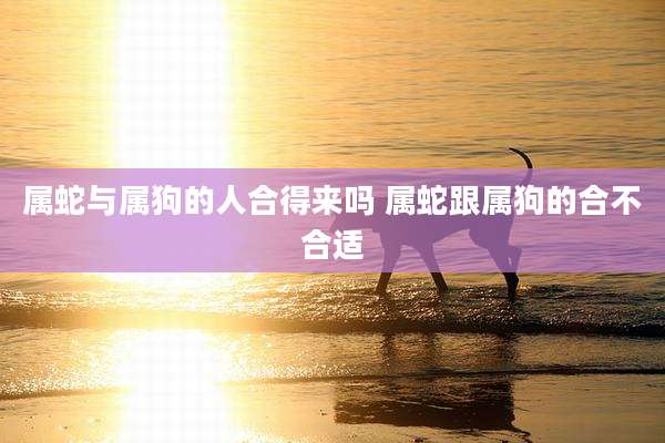 属蛇与属狗的人合得来吗 属蛇跟属狗的合不合适