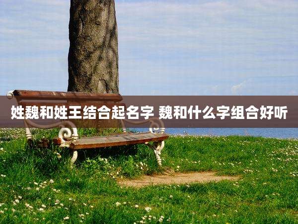 姓魏和姓王结合起名字 魏和什么字组合好听