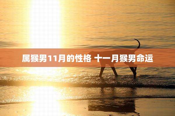 属猴男11月的性格 十一月猴男命运