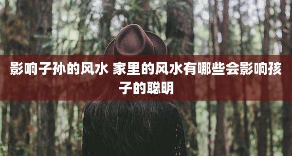 影响子孙的风水 家里的风水有哪些会影响孩子的聪明