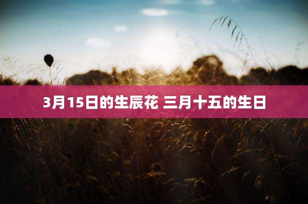 3月15日的生辰花 三月十五的生日