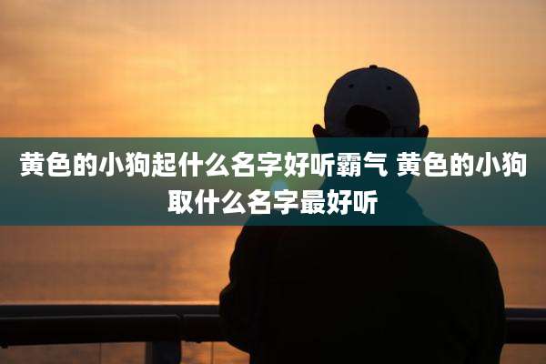 黄色的小狗起什么名字好听霸气 黄色的小狗取什么名字最好听