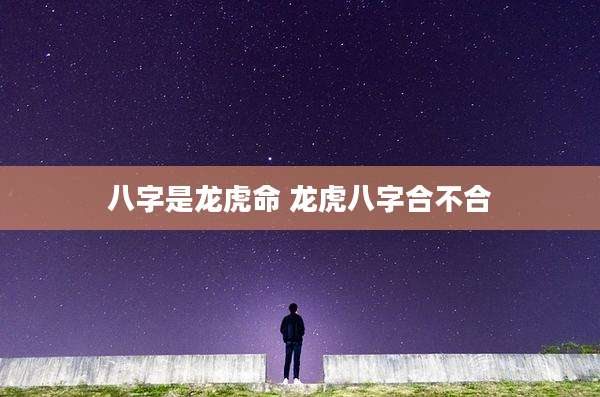 八字是龙虎命 龙虎八字合不合