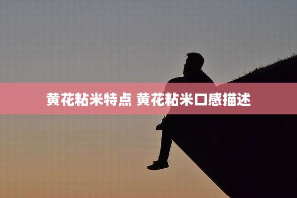 黄花粘米特点 黄花粘米口感描述