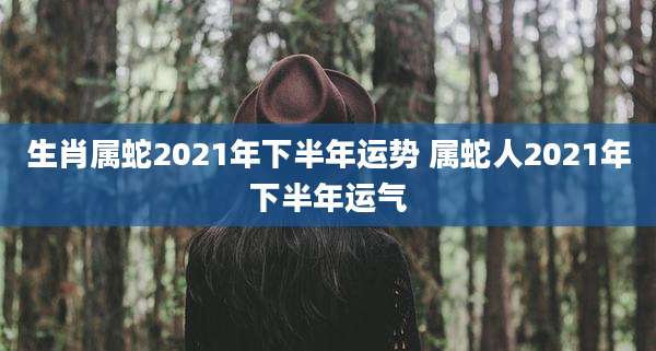 生肖属蛇2021年下半年运势 属蛇人2021年下半年运气