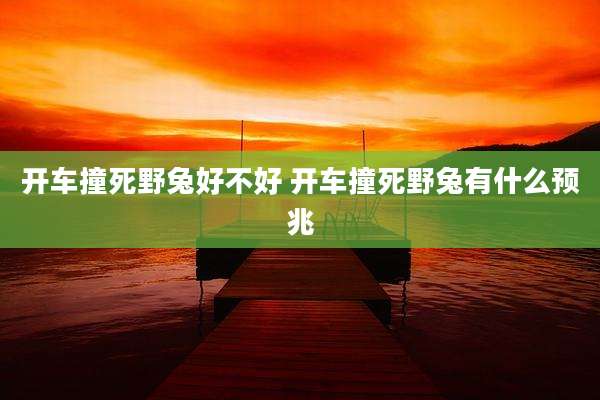 开车撞死野兔好不好 开车撞死野兔有什么预兆