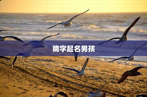隋字起名男孩
