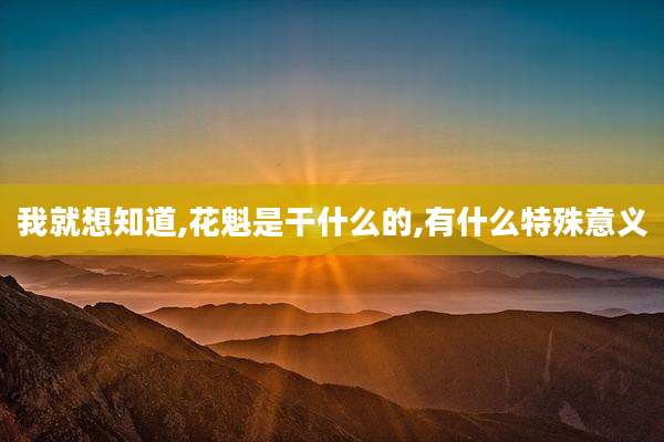 我就想知道,花魁是干什么的,有什么特殊意义