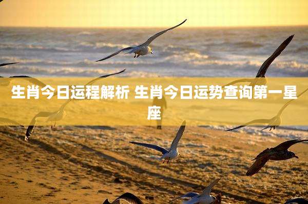 生肖今日运程解析 生肖今日运势查询第一星座