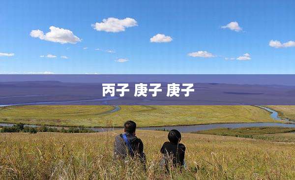 丙子 庚子 庚子