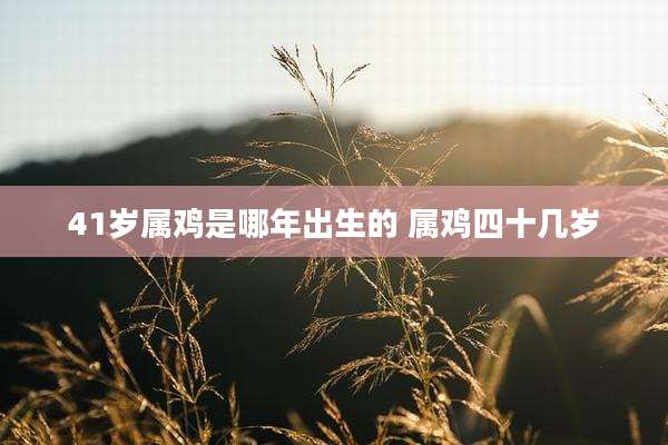 41岁属鸡是哪年出生的 属鸡四十几岁
