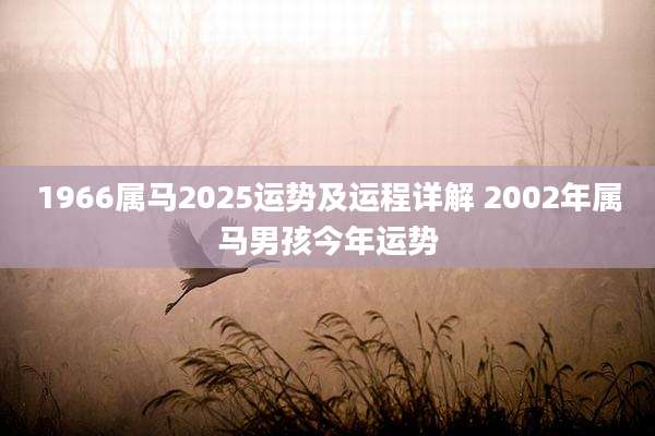 1966属马2025运势及运程详解 2002年属马男孩今年运势