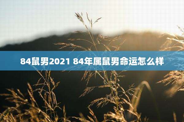 84鼠男2021 84年属鼠男命运怎么样