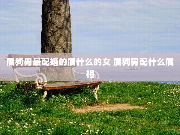 属狗男最配婚的属什么的女 属狗男配什么属相