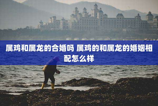 属鸡和属龙的合婚吗 属鸡的和属龙的婚姻相配怎么样