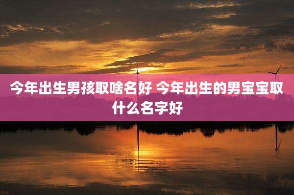 今年出生男孩取啥名好 今年出生的男宝宝取什么名字好