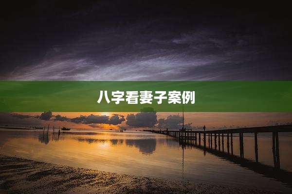 八字看妻子案例
