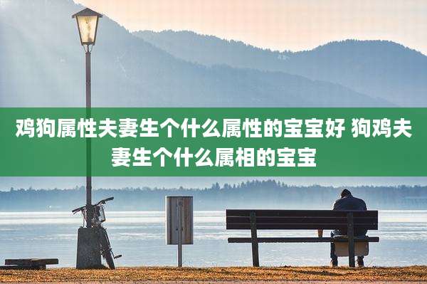 鸡狗属性夫妻生个什么属性的宝宝好 狗鸡夫妻生个什么属相的宝宝