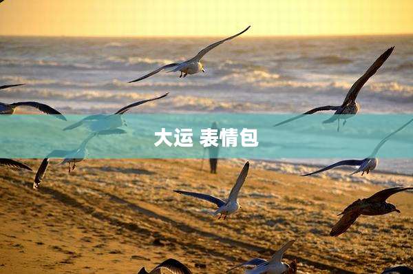 大运 表情包
